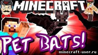 Скриншот Мод Pet Bat (1.6.4)