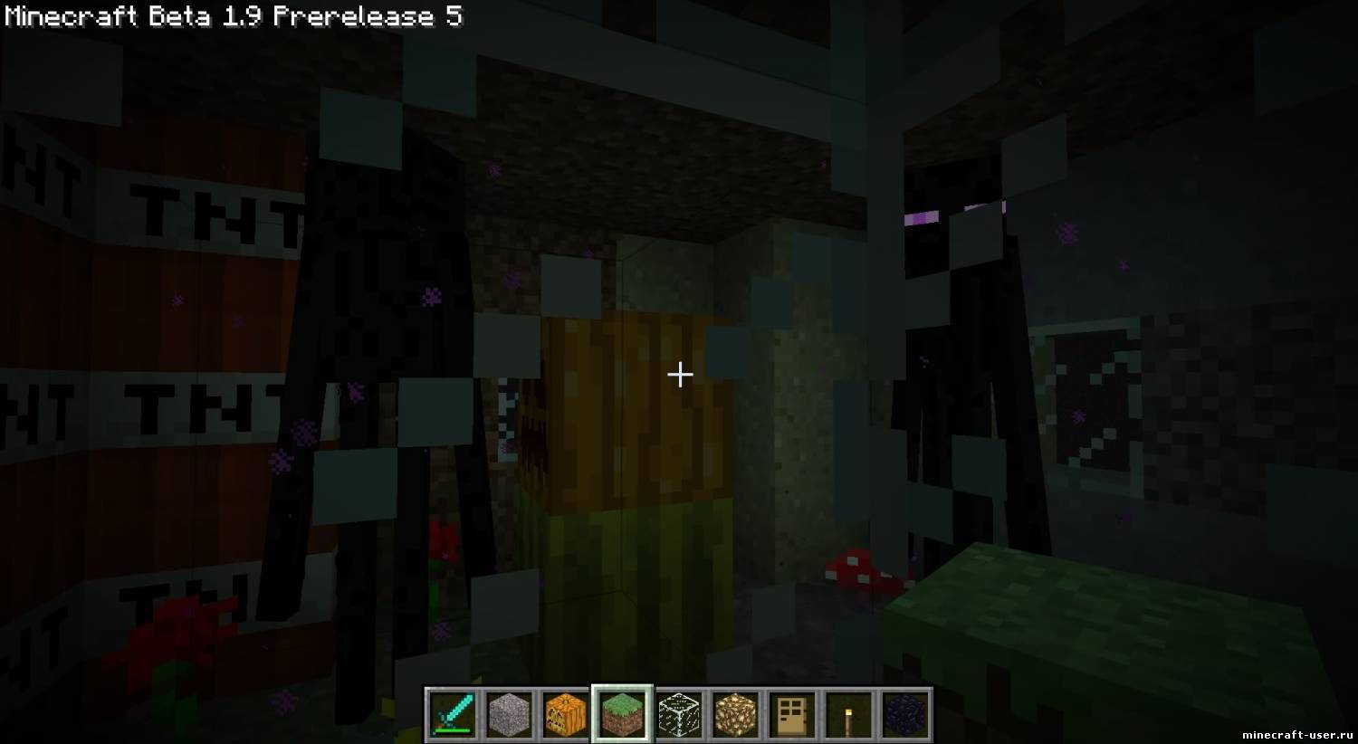 Скриншот Мод Endermen Don’t Pick Up Blocks (1.7.2)