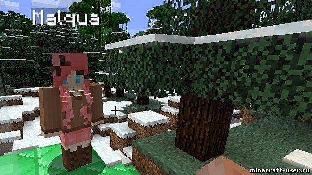 Скриншот Мод Female Gender Option (1.6.4)