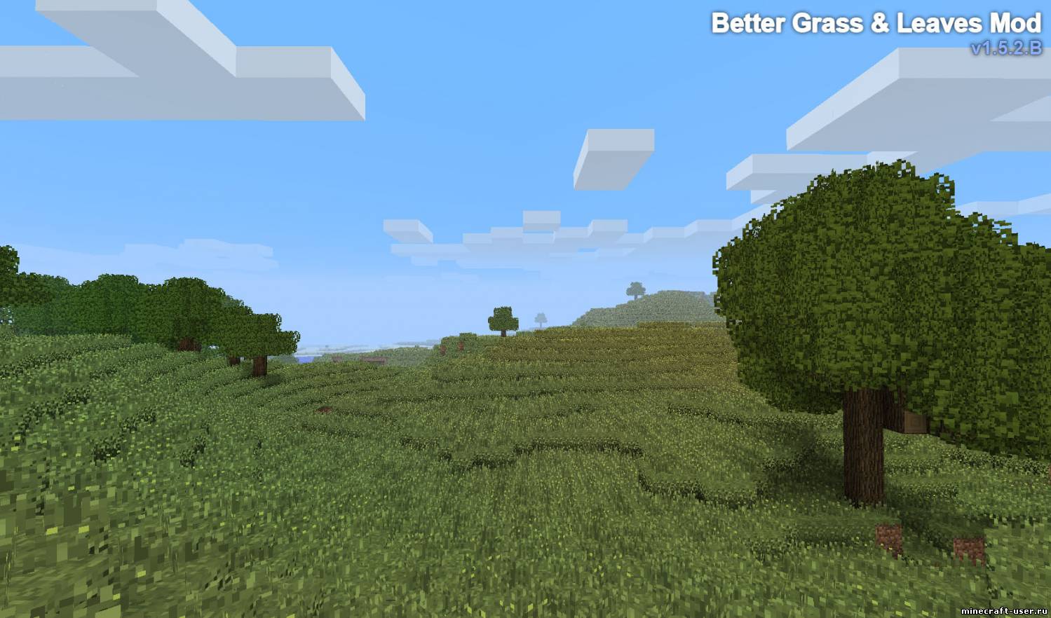 Скриншот Мод Better Grass and Leaves (1.6.4)